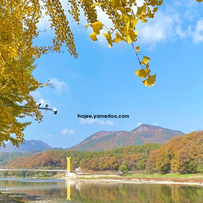 영동 가볼만한곳 베스트10