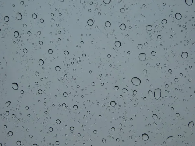 손없는날 이사 밥솥 이사비용_2