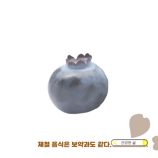 11월 제철과일