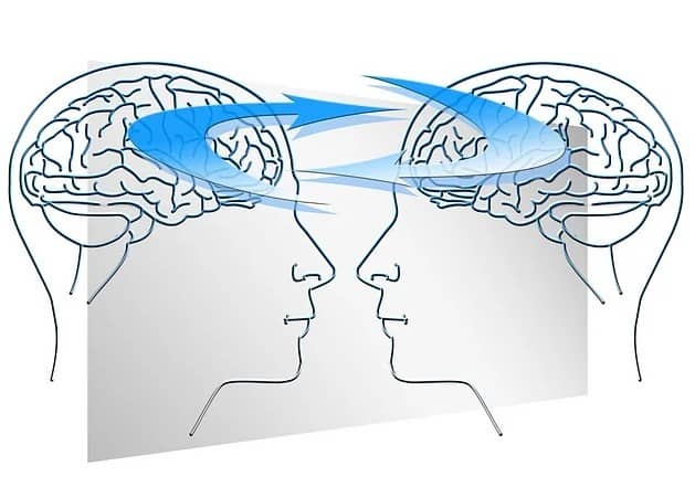 뇌를 보존하면 영생할 수 있을까? 냉동보존 기술의 현재와 한계