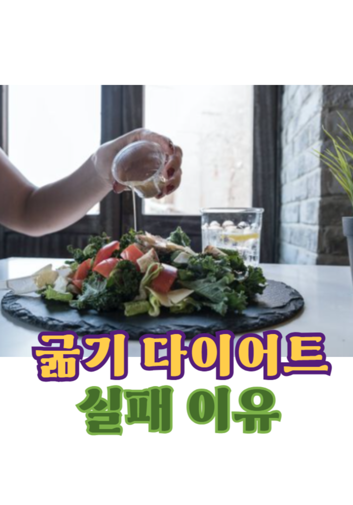 1.굶기 다이어트 실패 이유