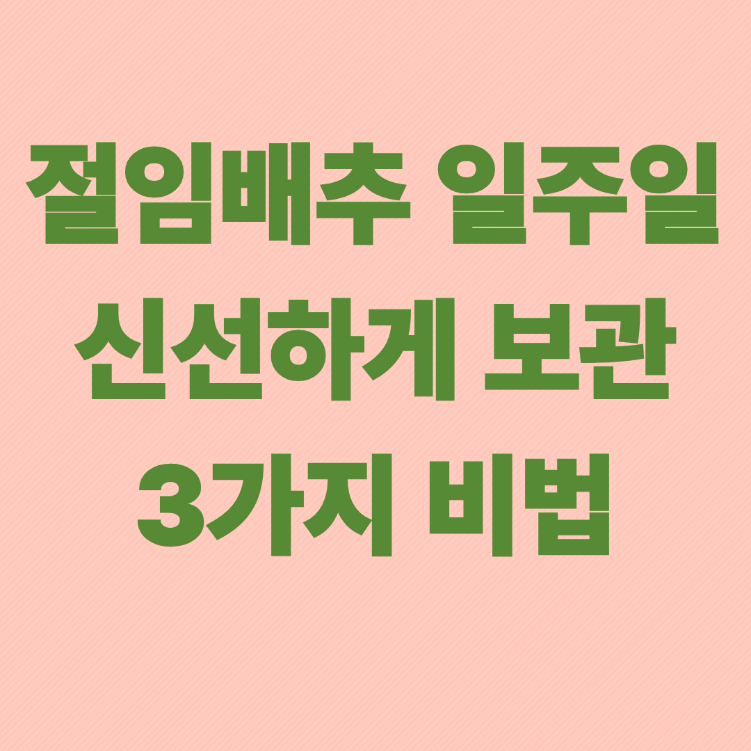 절임배추 일주일 신선하게 보관하는 3가지 비법