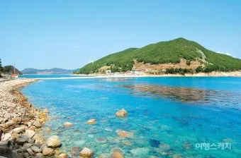비진도 배시간표 예매 요금 배편 예약_16