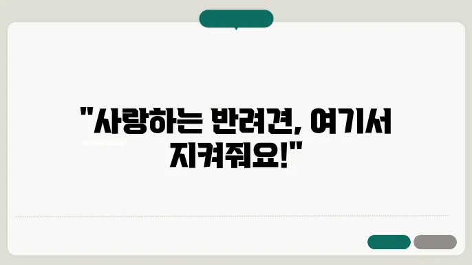 부천강아지보호소 보호견 소개 포스터