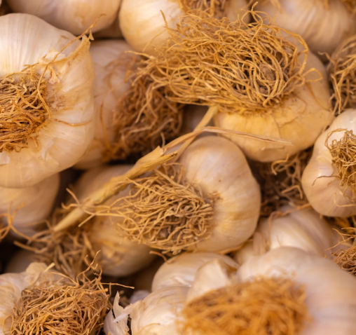 마늘 효능 효과 부작용 당뇨 혈관 건강