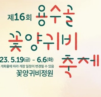 용수골 꽃양귀비 축제