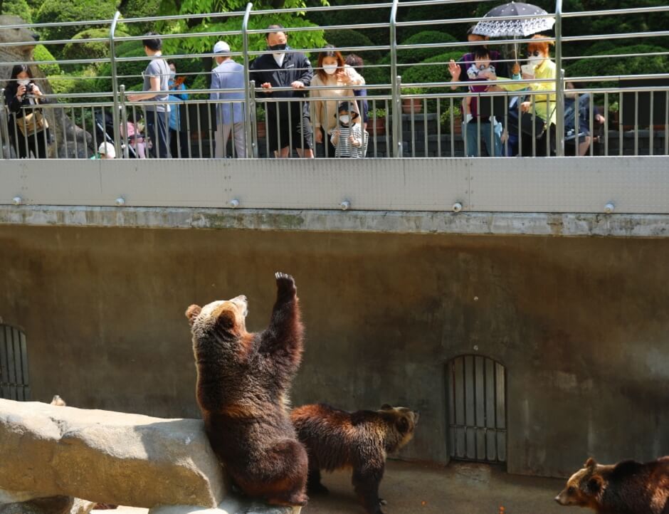 대전 세종 충청 4월 축제 일정