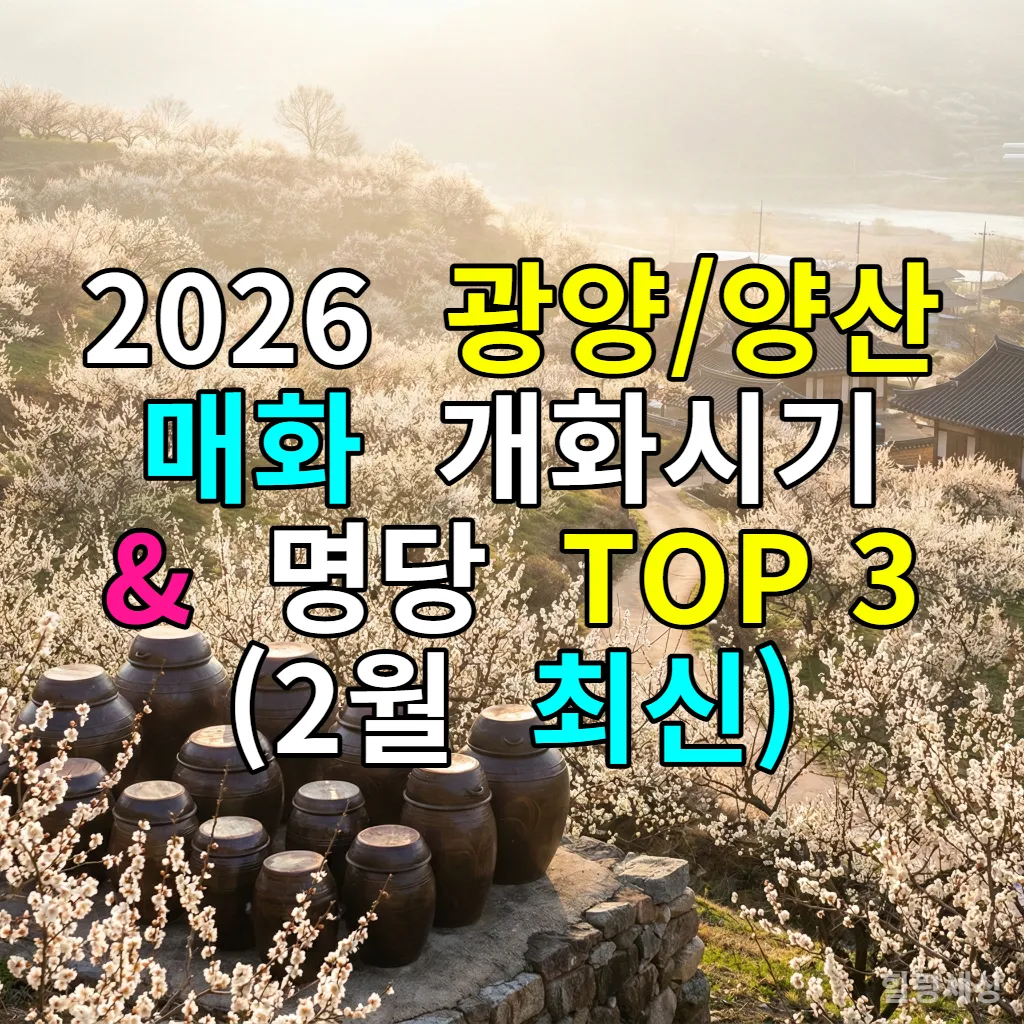 2026년 봄, 하얀 팝콘처럼 만개한 광양 매화마을의 전경과 전통 장독대가 어우러진 풍경
