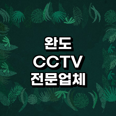 완도군 cctv