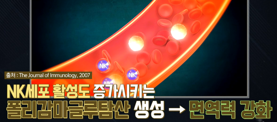 카무트 효능