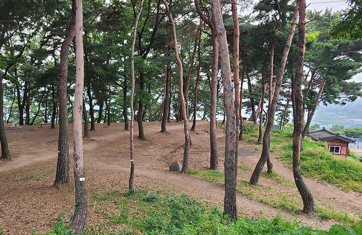 세마대