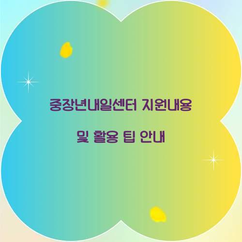 중장년내일센터 지원내용