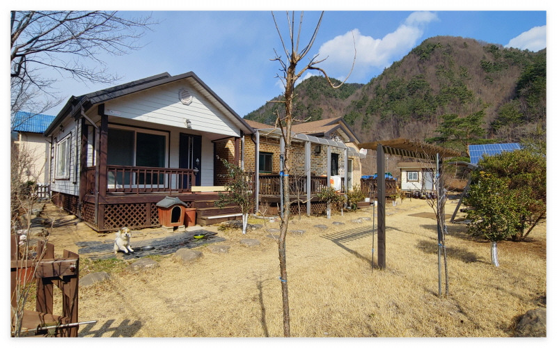 삼척 해안가 조망 시골주택 매물 알아 보기