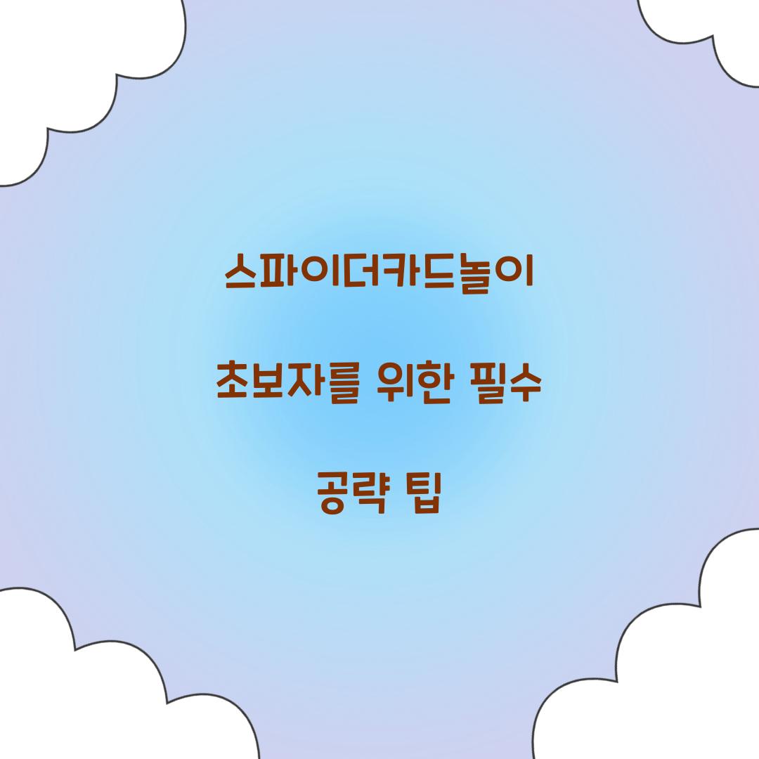 스파이더카드놀이