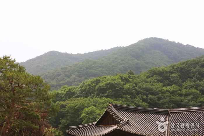 만뢰산