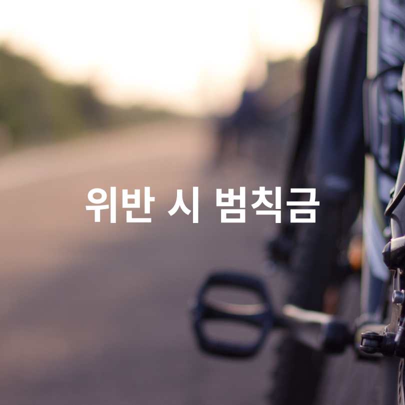 자전거 교통법규 총정리 : 범칙금까지