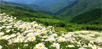 평창 가볼만한곳 베스트10 완벽 자연 여행_11