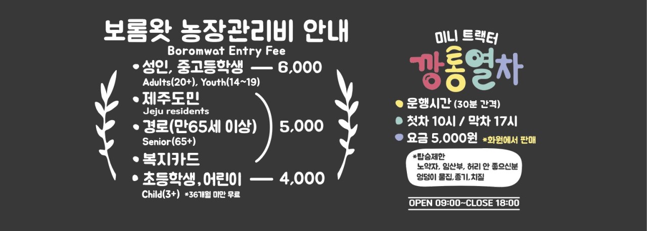 제주 보롬왓