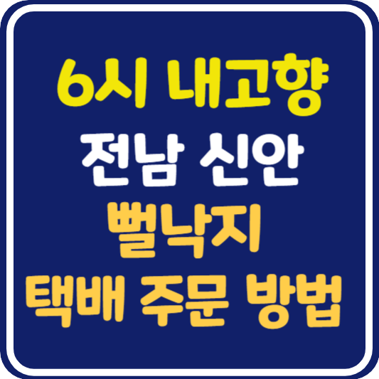 6시 내고향 신안 뻘낙지 택배 주문 방법