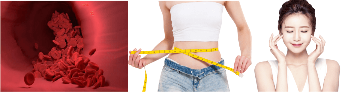 면역-다이어트-피부