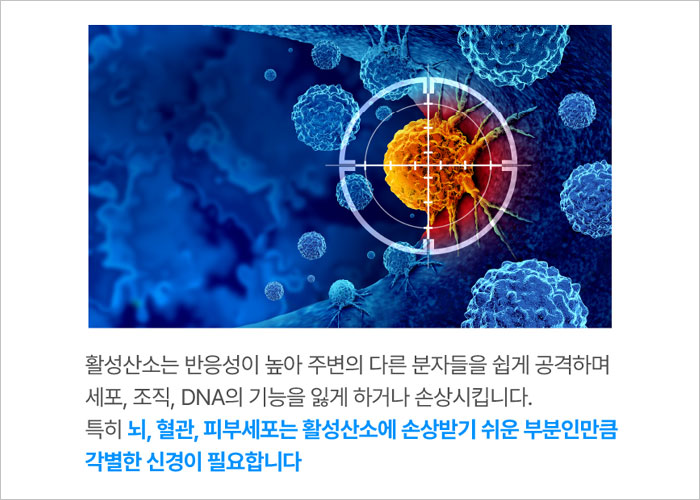 셀렌톡 효능, 부작용, 후기, 가격