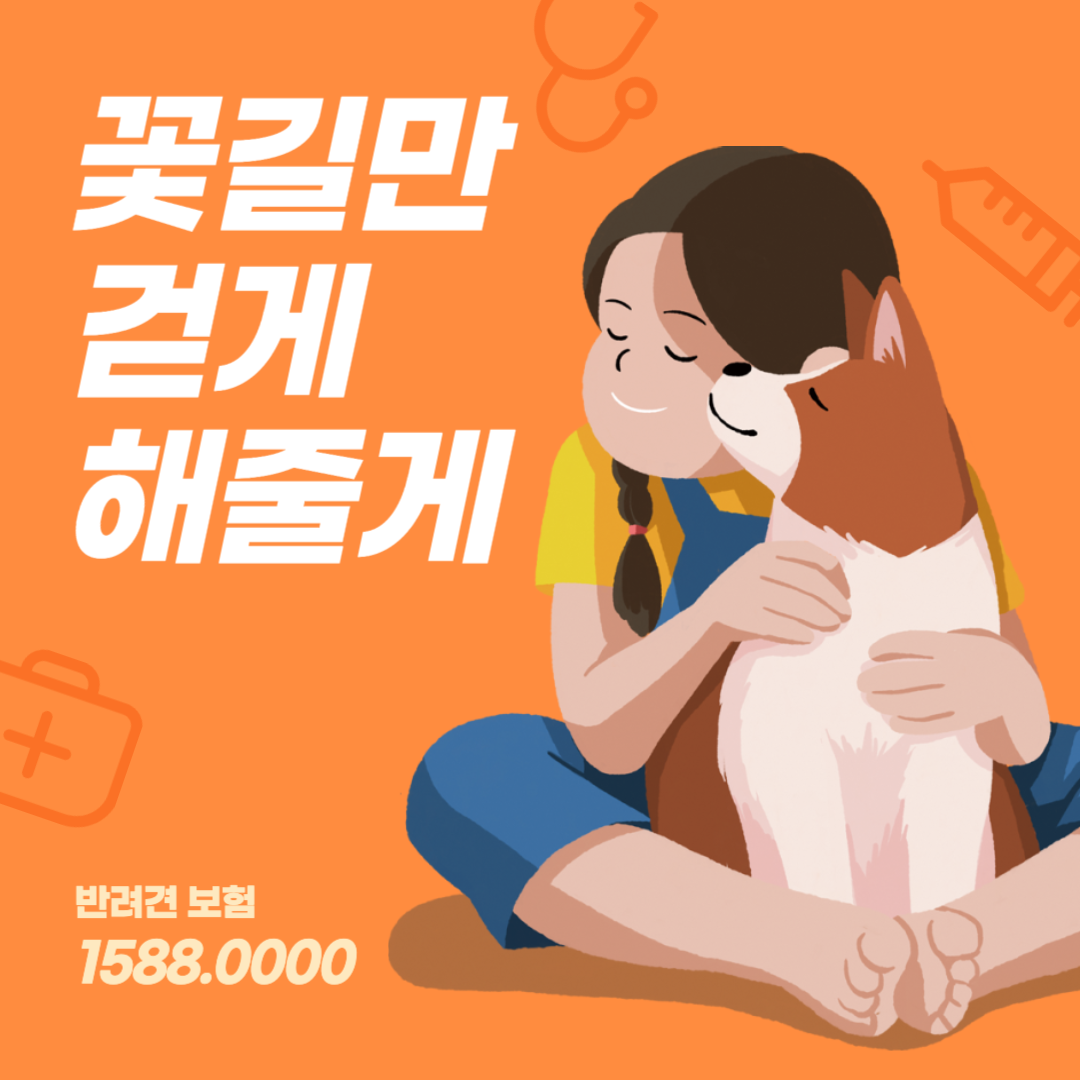 반려동물보험