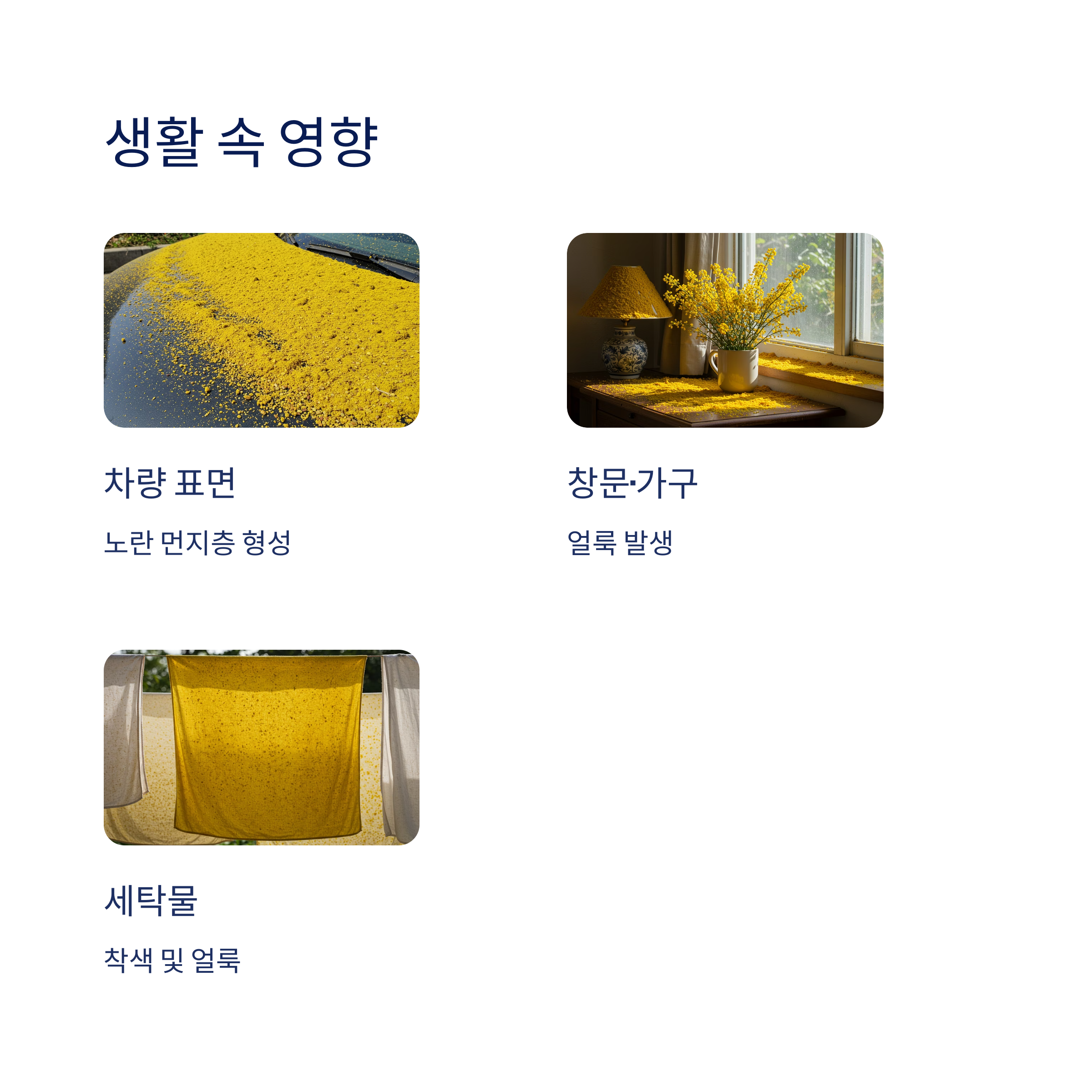 송진가루의 생활 속 영향