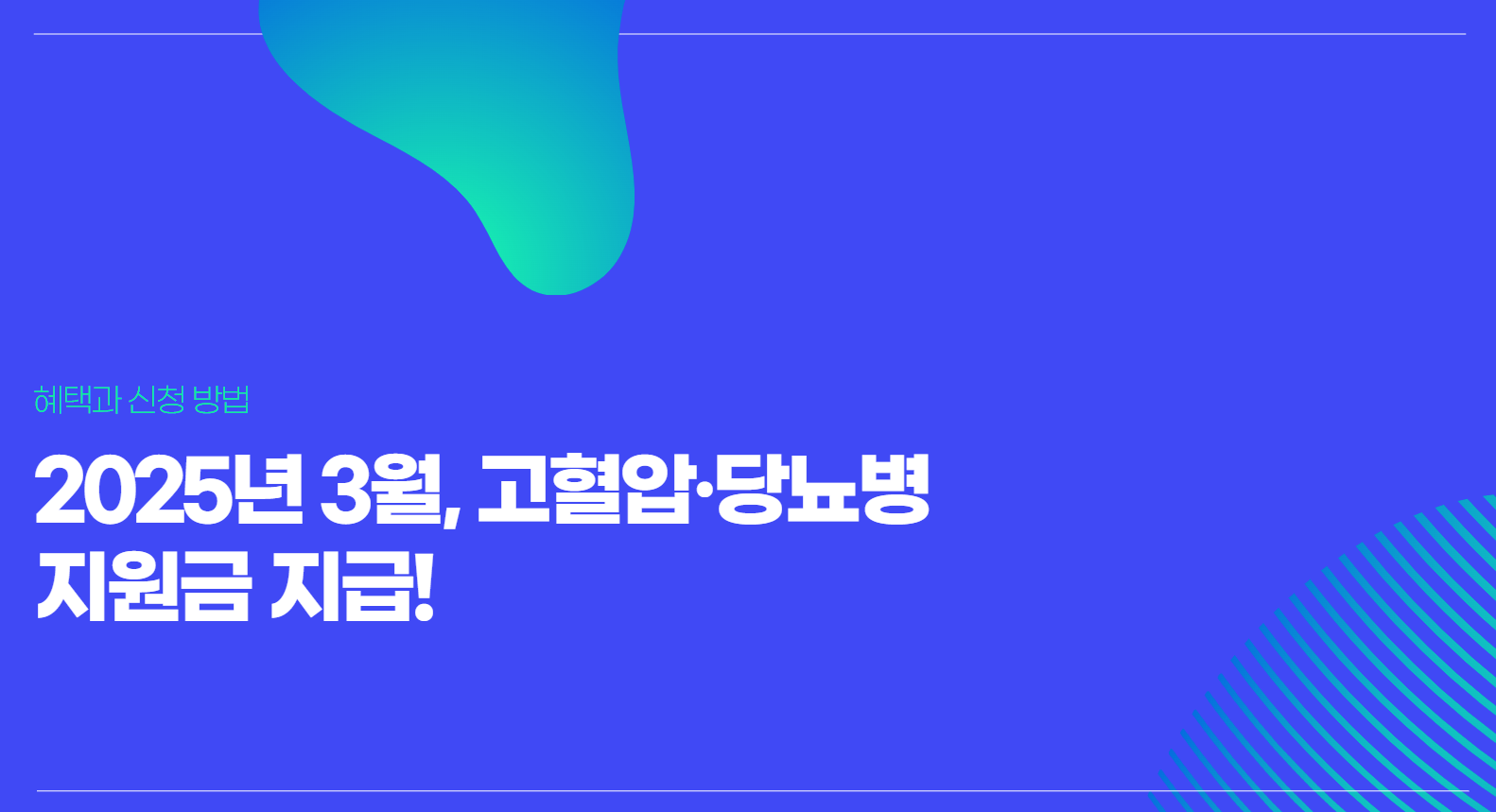 고혈압당뇨지원금