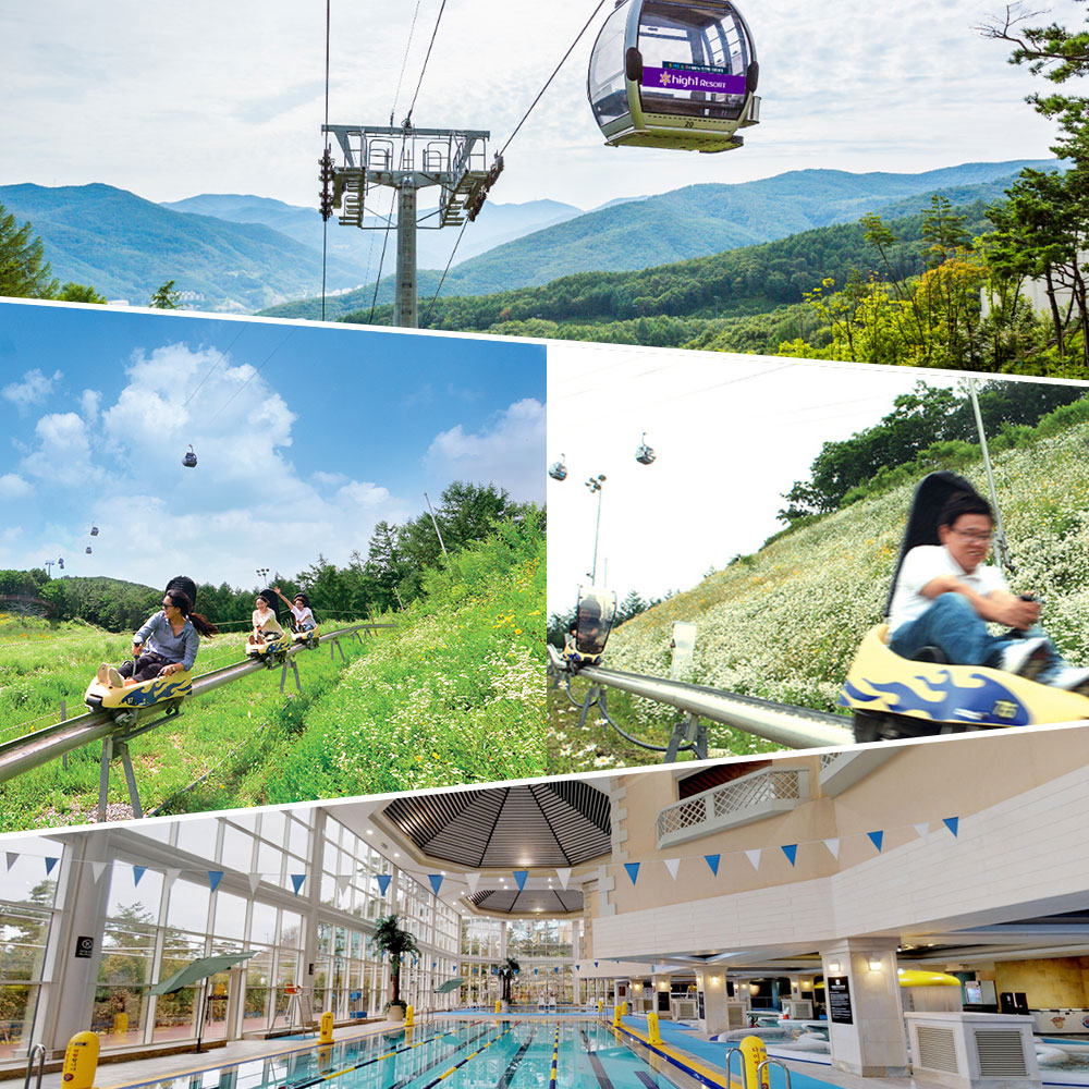 하이원 리조트 엑티비티