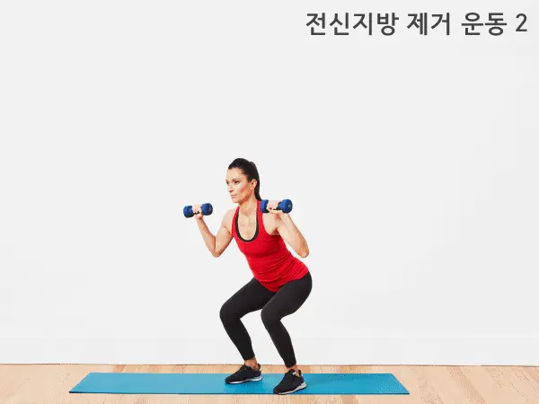 전신지방 태우는 운동 다이어트 하루5분운동