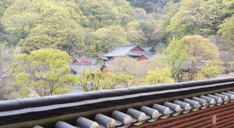 경남 쌍계사 템플스테이 신청 방법