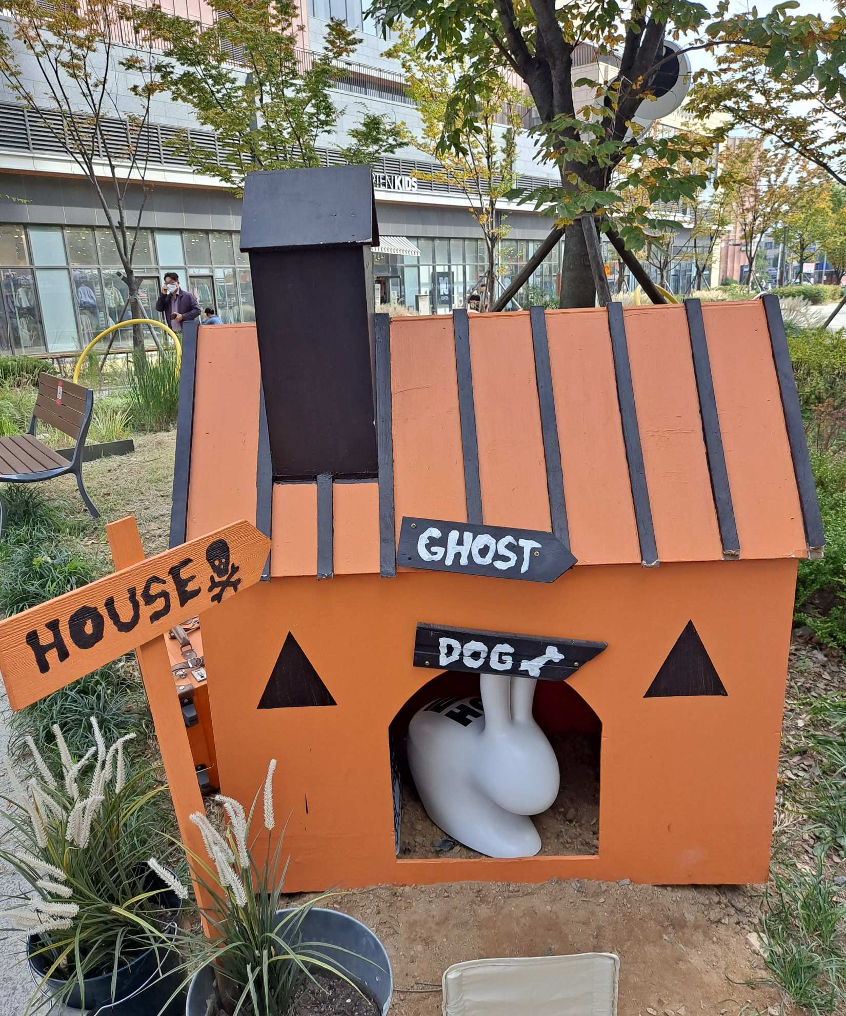 이상한 컬러플 광장