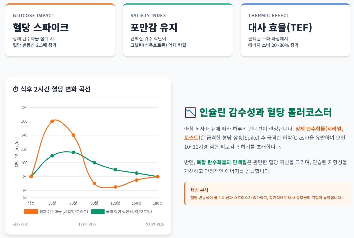 탄수활물 등 섭취 시 혈당 변화를 나타내는 인포그래픽 이미지