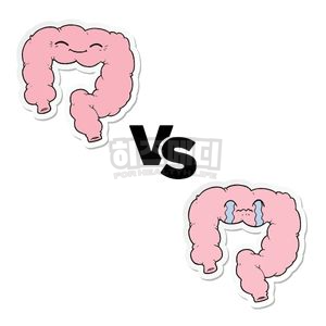 분변검사 방법