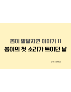 자폐아이언어발달 병행발화