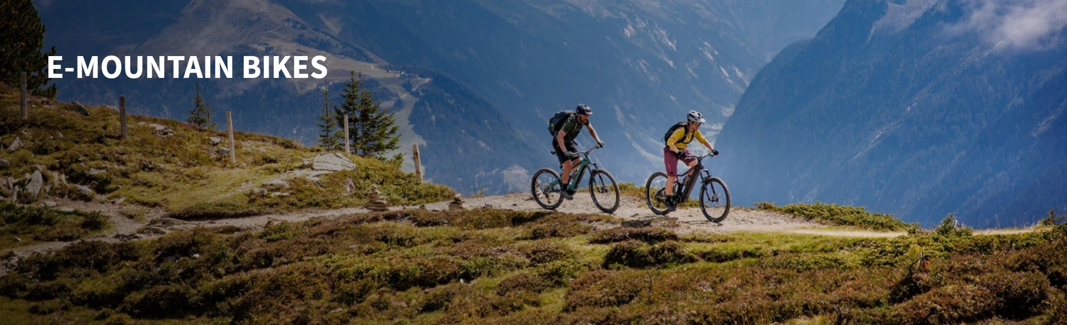 전기 산악 자전거