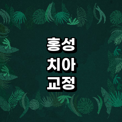 홍성군 교정 치과