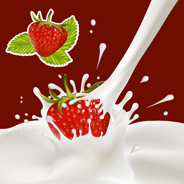 발효식품 요거트, 요구르트