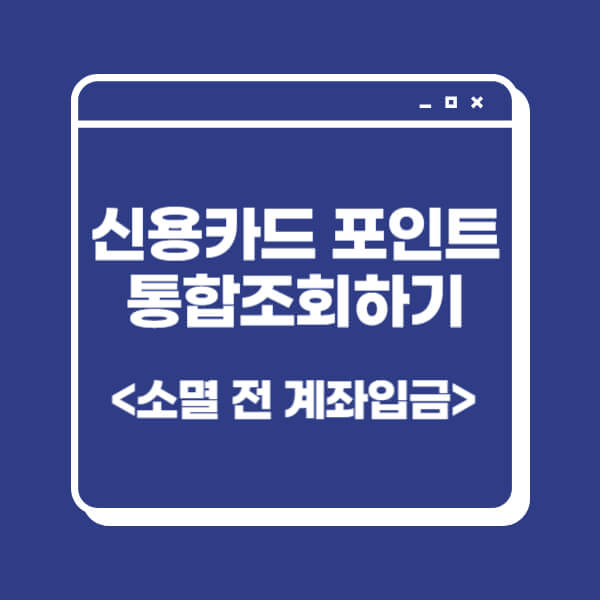 신용카드-포인트-통합조회