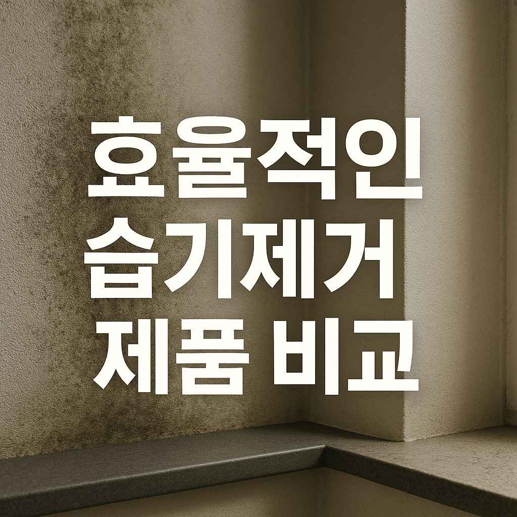 효율적인 습기제거 제품 비교