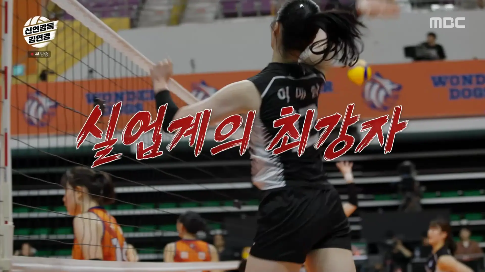 수원특례시청 배구팀 – 실업리그 정상의 이유