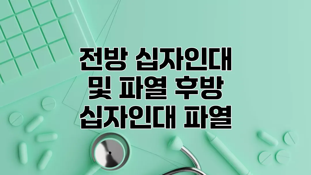 전방 십자인대 및 파열 후방 십자인대 파열