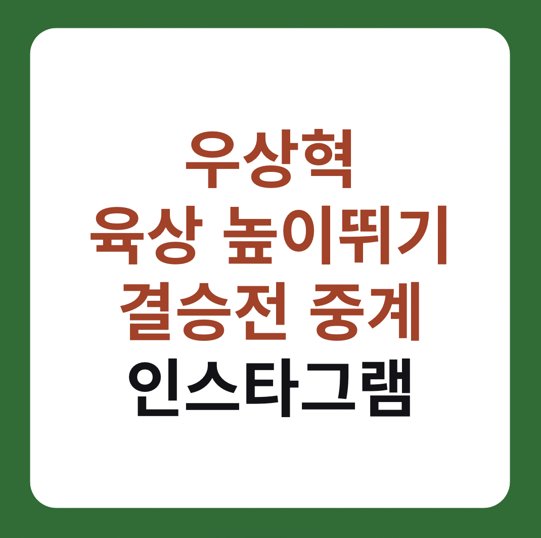 우상혁 육상 남자 높이뛰기 결승전 중계, 인스타그램 설명 이미지