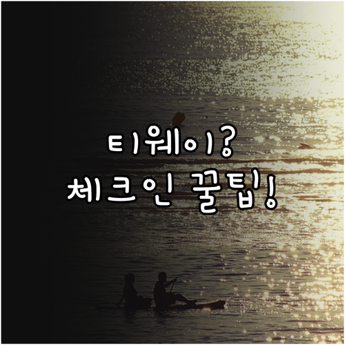 티웨이항공 온라인 체크인 자주 묻는 ..