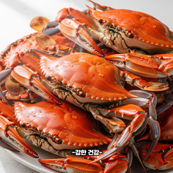 꽃게탕 손질법