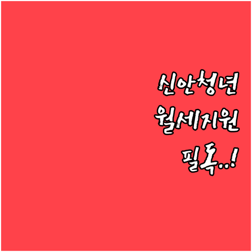 신안군 청년 월세 지원 대상자 선정 ..