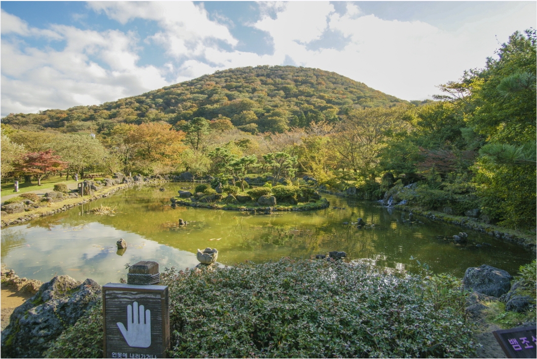 절물자연휴양림 숲속 힐링 여행과 숙소 정보