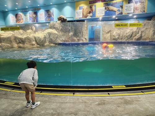 아쿠아플라넷 일산 할인 입장권 저렴한곳 + 다녀온 후기