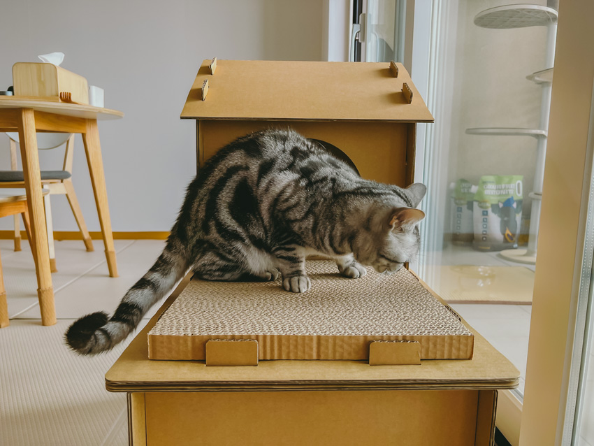 고양이-스크래처