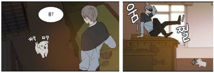 오늘도-사랑스럽개